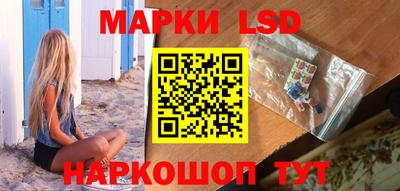 крисы Новокубанск
