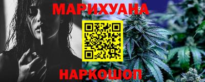крисы Новокубанск