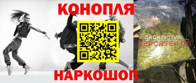 крисы Новокубанск