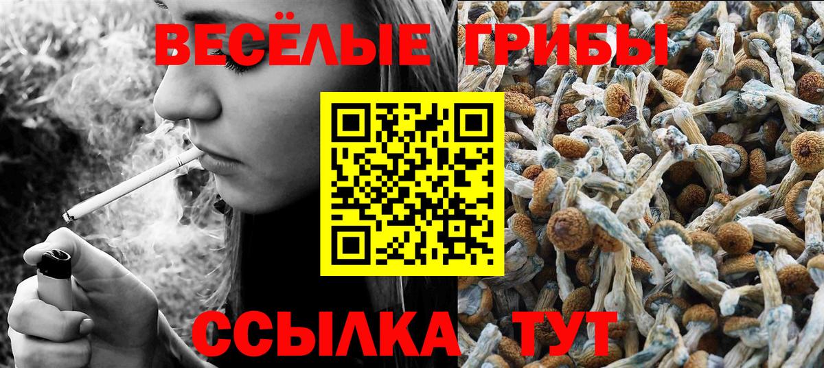 Галлюциногенные грибы MAGIC MUSHROOMS  Псилоцибиновые грибы мицелий  Вход с VPN  Тара 
